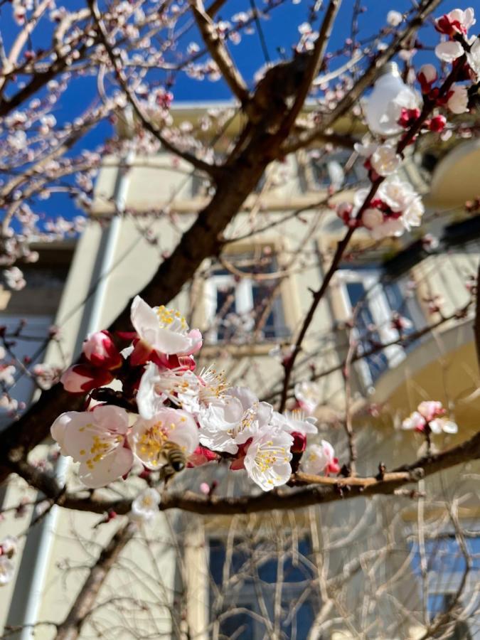 Aurelia Rooms Mostar Ngoại thất bức ảnh